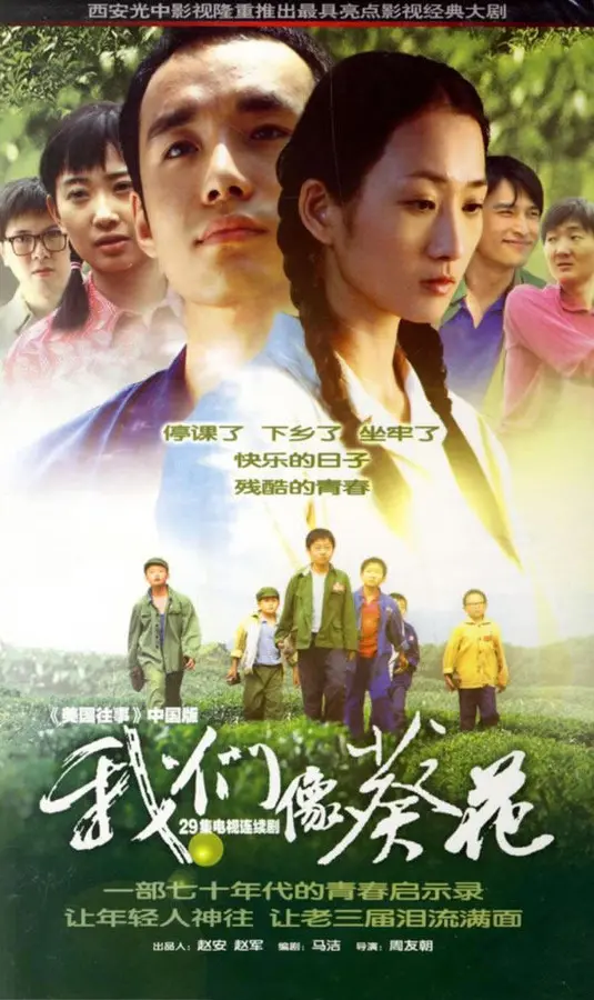 《我们像葵花》：在窒息的家庭牢笼中绽放还是枯萎？一部探讨原生家庭阴影的深刻之作