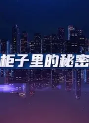 《柜子里的秘密》：一场关于家庭、成长与自我和解的动人旅程，揭示藏匿于童年阴影下的真相